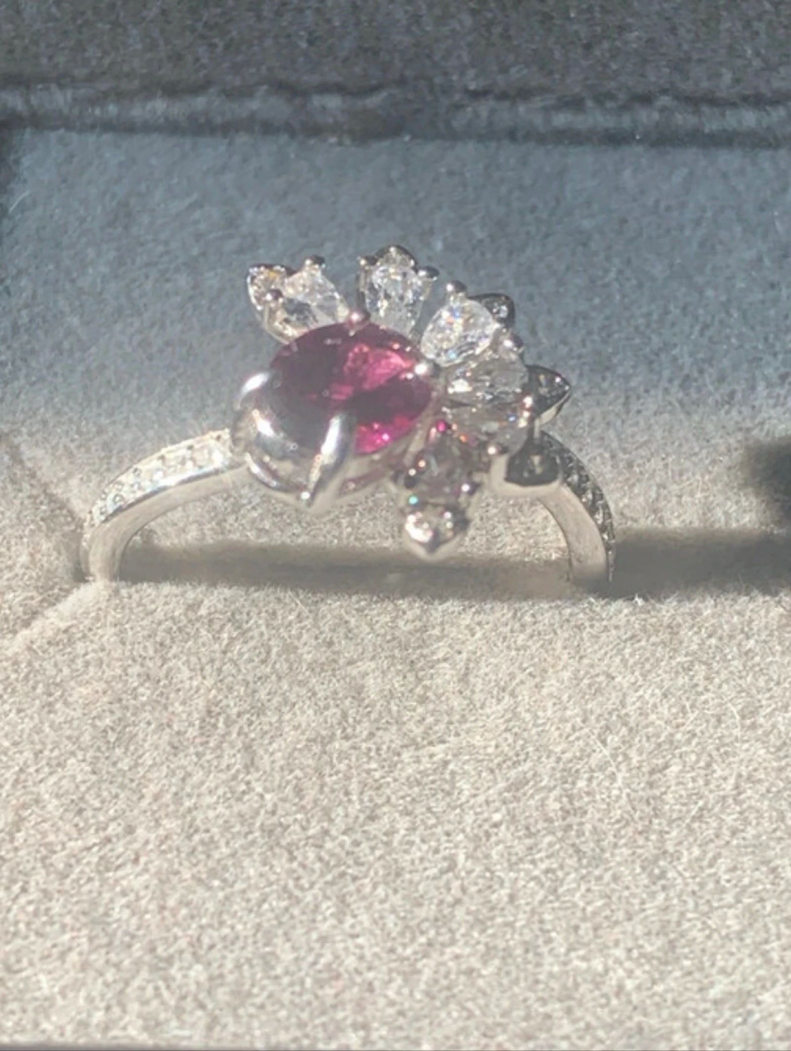 Rodolietring – photo 4